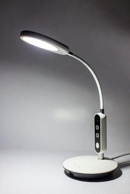 Adjustable Desk Lamp